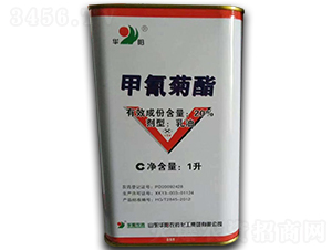 20%�������-�A�