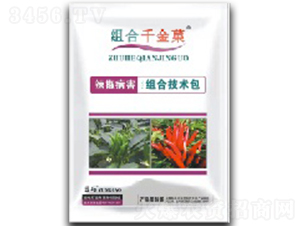 ���������M���ײ�-�M��ǧ��Ǒ-���S�r�Y