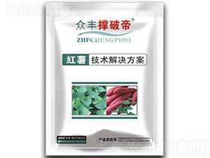 �t���M���ײ�-���S���Ƶ�-���S�r�Y