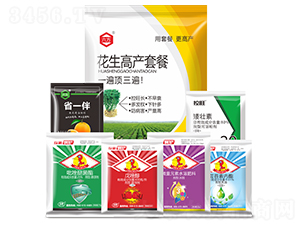 �����߮a�ײ�-����-����