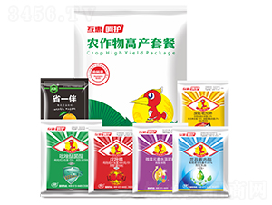 �r����߮a�ײ�-���o-����