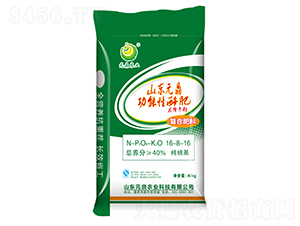 ���ߌ��Ï�(f��)�Ϸ�16-8-16-Ԫ���r(n��ng)�I(y��)