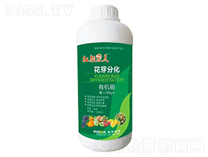 ��ѿ�ֻ�-�t���-��ķ�_