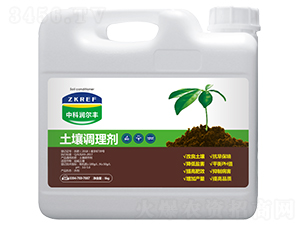 �����{�턩-�пƝ����S