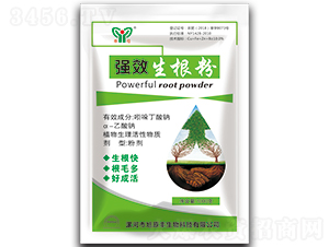 ��Ч������-��ĸ-��ԭ�S