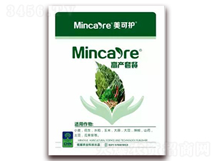 �߮a�ײ�-�����o-�Խ