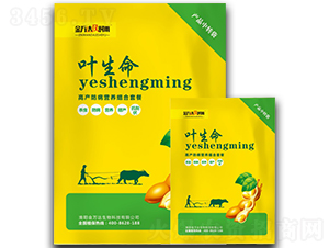 �߮a�����I�B�M���ײ�-�~����-�f�_���r��