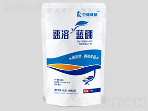 �����{��-���㻯�W