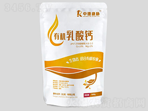 �ЙC�����}-���㻯�W