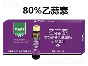 80%���������͡�10�ˡ�-�Ű��-�����r��