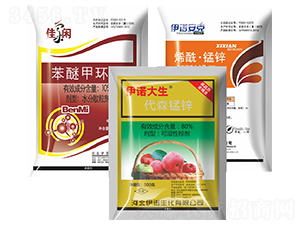 �Ѽ��e+���Z����+���Z����-�S̩�r�I