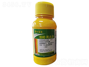 24%���ס�ݬȥ��ɷ�ɢ�͑Ҹ���-�滯���h