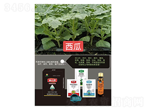 ���砀���M���ײͣ����ό��ã�-�Ϸ�·-�Z�M�� 