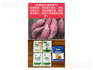 ���t������+���|���a��-�֝M�@-�Z�M��