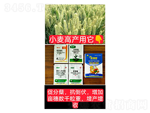 �����߮a�M���ײͣ�С�����ã�-�֝M�@-�Z�M��