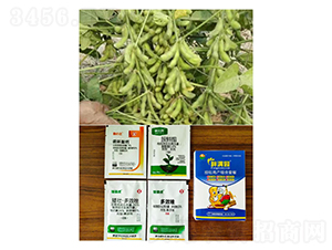 �����߮a�M���ײͣ����ǌ��ã�-�֝M�@-�Z�M��