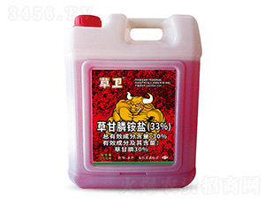 30%�ݸ���@�}��20kg��-���l-���S����