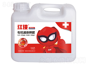 5L�ЙC(j��)Һ�w⛷�-�t�b-���� 