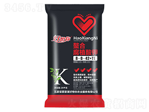 ���ϸ�ֲ���8-0-42+TE-�������r�I