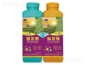 �����a�ײ�-�����S-���Π�