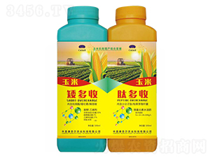 ���׿������a�ײ�-�����S-���Π�