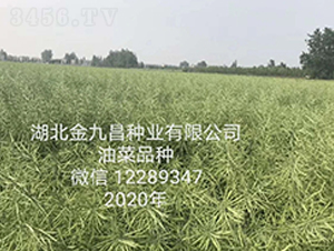 ������Ų��N�I���޹�˾�Ͳ�Ʒ�N