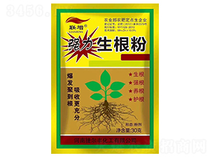 ����������-��-�ݠ��S