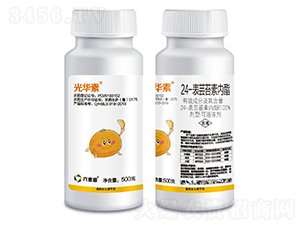 24-���|̦�؃���-���A��-������