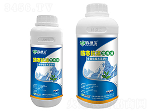 ���������I�BҺ-�Ƶ�