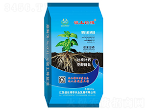 �۹ȹ��}�V-Մ��Փ��-ʢ������