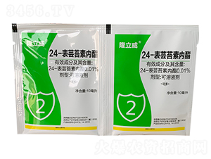 24-���|̦�؃���-¡����-�Z�_��