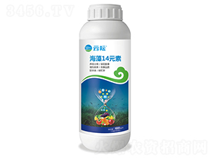 ����14Ԫ��-����