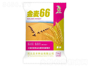 ����66-С���N��-���S�N�I