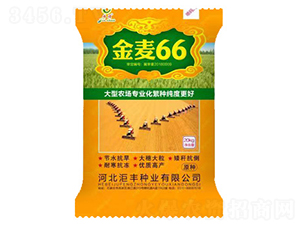 ����66��20kg��-С���N��-���S�N�I