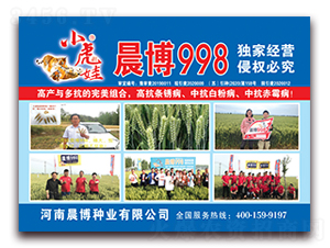 С���޳���998-С���N��-�����N�I