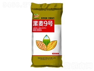 ����9̖-С���N��-�h���N�I