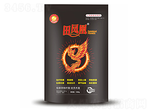 ���������{�턩-���P��-��ɫ���