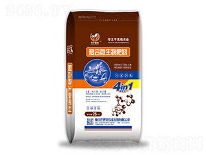 �ͺ�΢�������-�ͷ���