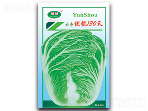 �Ɖۃ���130��-�ײ˷N��-�Ɖ�