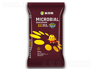 �pԴ+��΢�������-ֲ֪Դ-��Ӣ���Q