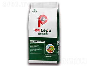 ΢�������-���՘�