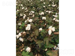 ��K25-�޻��N��-���S�r�I