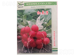 �t̫��-�}���N��-����N�I