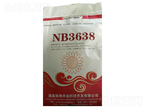 NB3638���տ��N��-����N�I