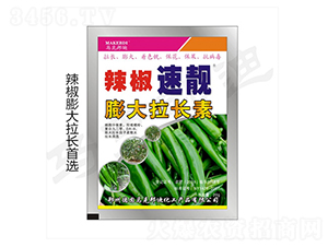 ��������������L��-���n-�R�˰��