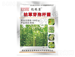 ���ǌ��ÿݲ�ѿ�ߗU��-�|�߾�-�R�˰��