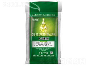 ��(f��)��΢�������-�|�-�R�˰��