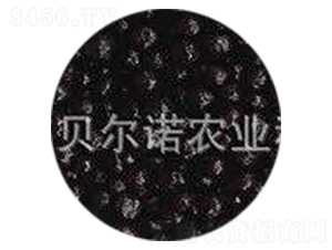 �ЙC�ʰ�Ĥ��-ؐ���Z�r�I