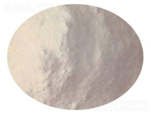 ���ʷ۠���Y�K��-ؐ���Z�r�I