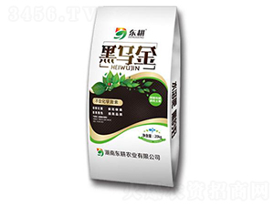 �����{�턩-�ڞ���-�|��